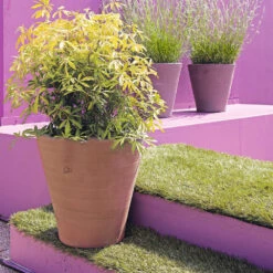 Cuvier Contemporain En Terre Cuite Ø 47 X H. 48cm -VerdeLuxe 340892 005