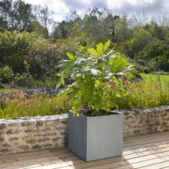 Cube Jin, Gris Ciment L. 50 X L. 50 X H. 50 Cm -VerdeLuxe 418306 005