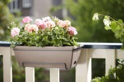 Elho Jardinière Barcelona En Plastique Taupe - L50cm -VerdeLuxe 538988 003