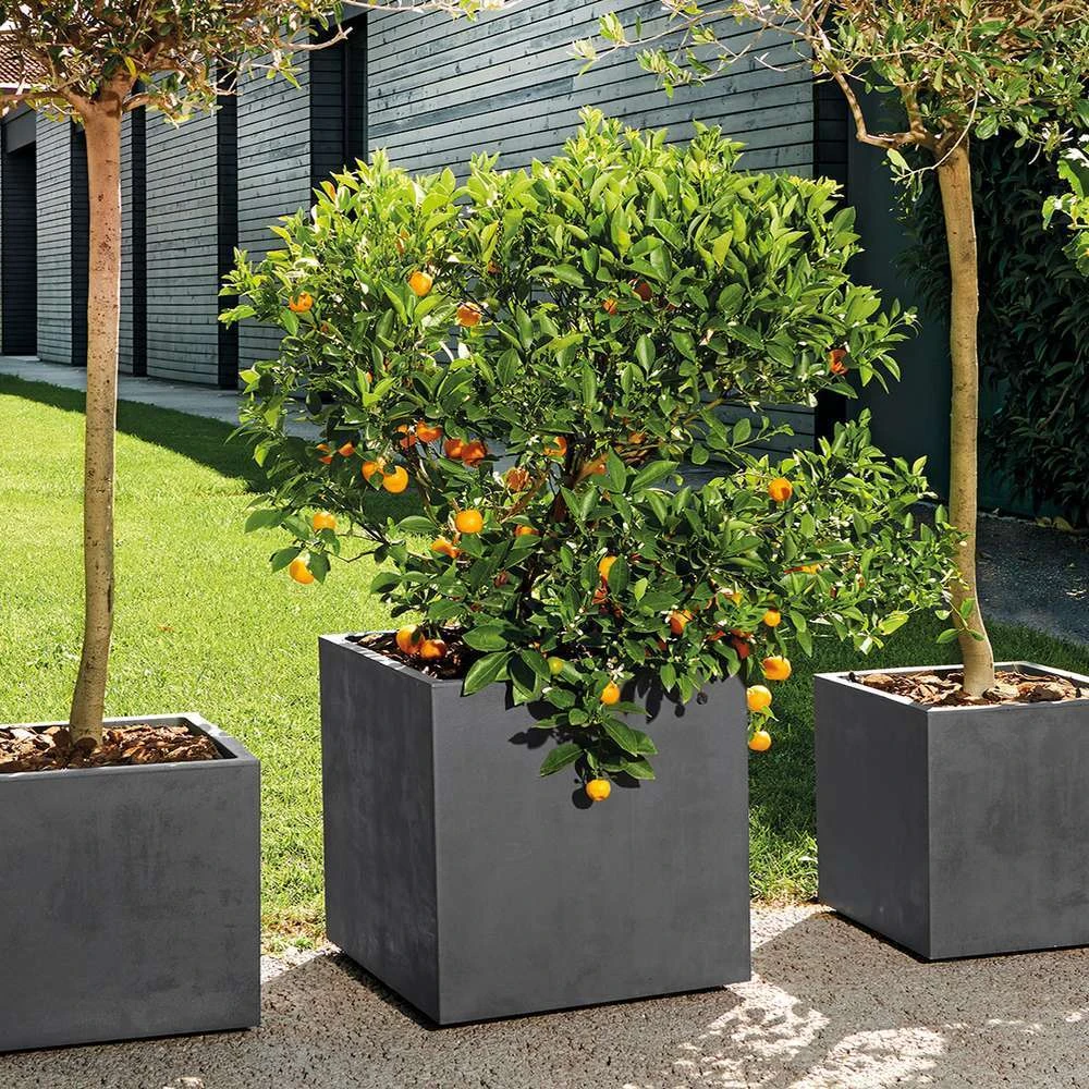 Pot Cube Millenium Plastique Réserve D'eau & Roulettes Anthracite 49cm 4 Pot Cube Millenium Plastique Réserve D'eau & Roulettes Anthracite 49cm – Image 2